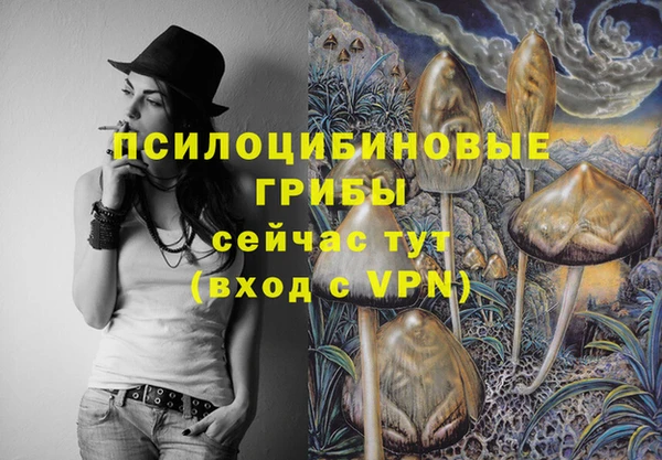 спиды Алексин