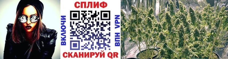 Марихуана план Николаевск-на-Амуре